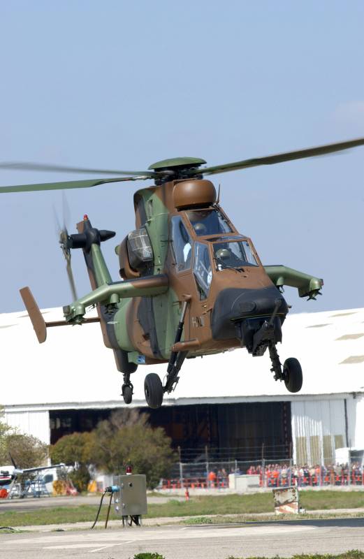 P6 Tigre Version Hap